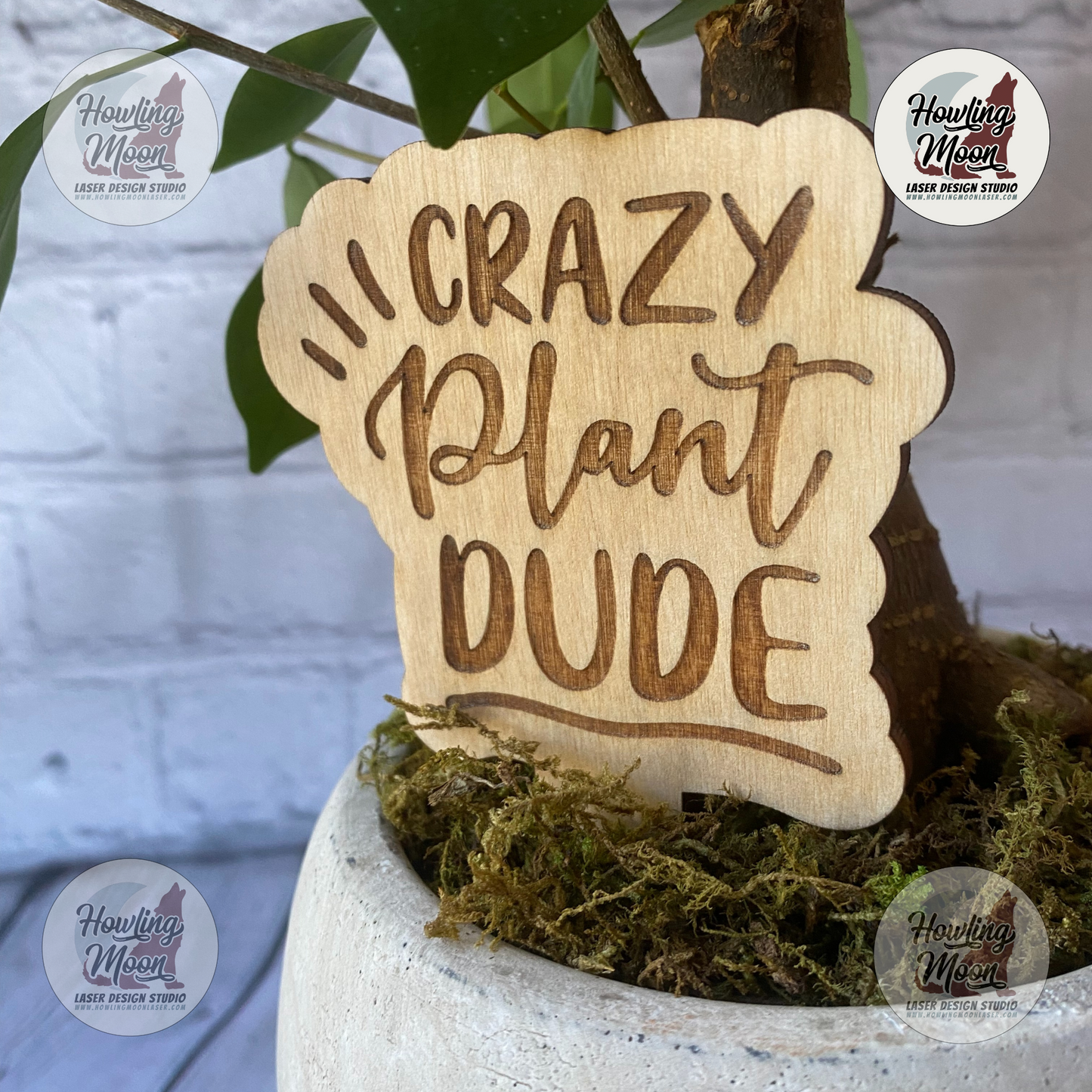 Crazy Plant Dude Garden Stake is a great gift for Gardeners - handmade by Howling Moon Laser Design in Virginia USA.