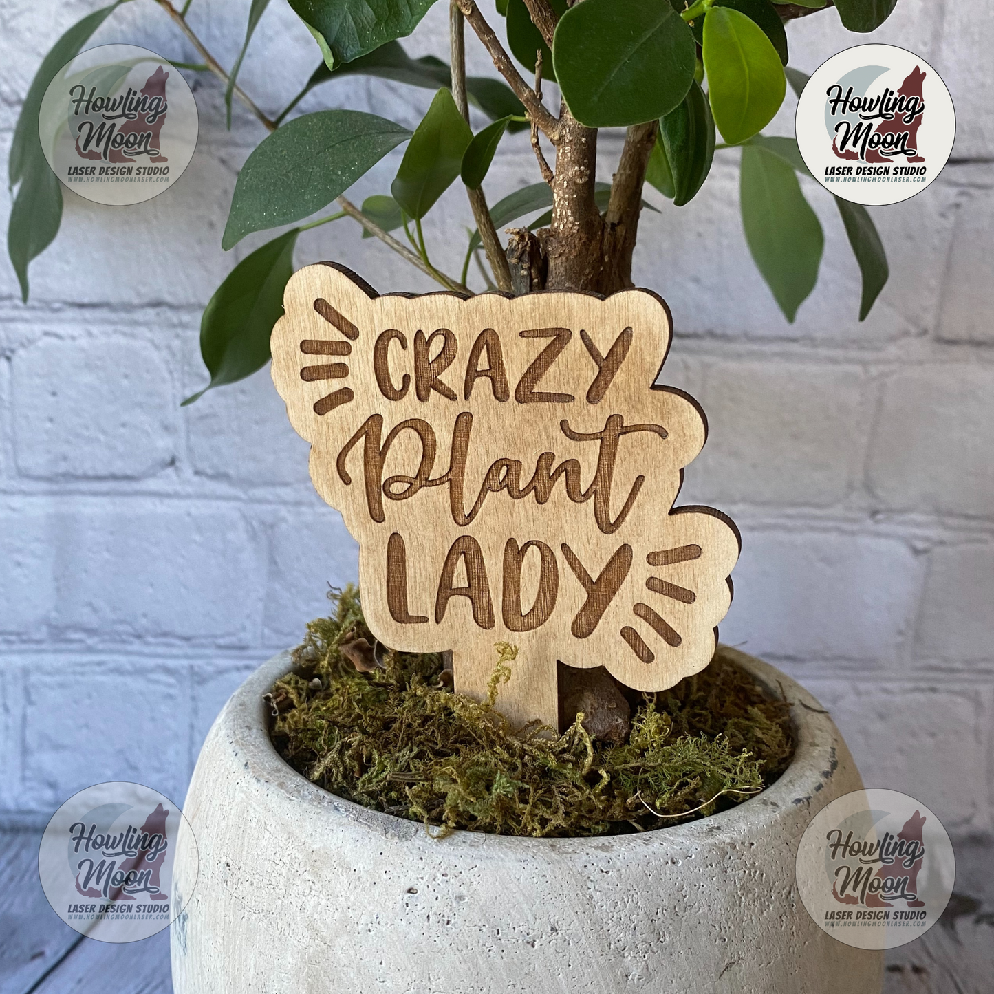 Crazy Plant Lady Plant Marker Gift for Gardeners Howling Moon Laser Design Virginia USA